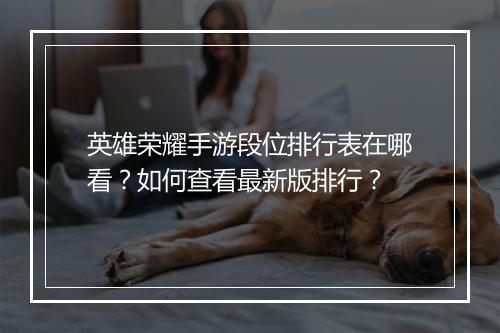 英雄荣耀手游段位排行表在哪看？如何查看最新版排行？