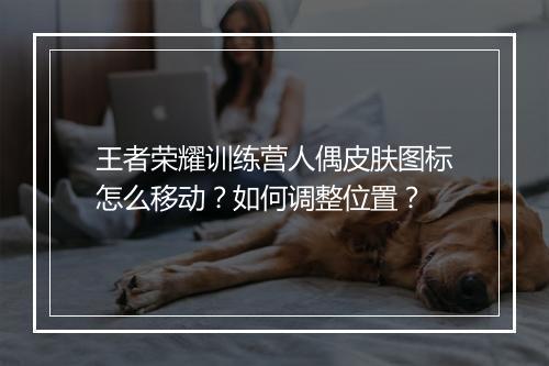 王者荣耀训练营人偶皮肤图标怎么移动？如何调整位置？