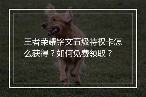 王者荣耀铭文五级特权卡怎么获得？如何免费领取？