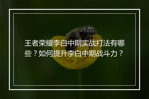 王者荣耀李白中期实战打法有哪些?如何提升李白中期战斗力?