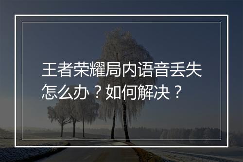 王者荣耀局内语音丢失怎么办?如何解决?