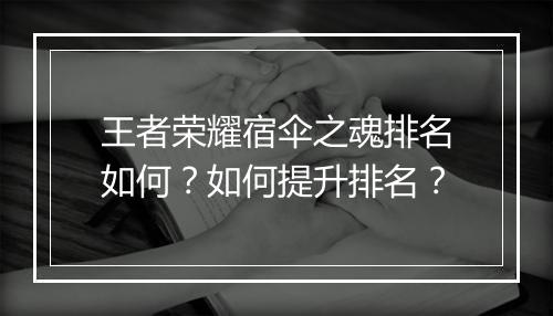 王者荣耀宿伞之魂排名如何？如何提升排名？