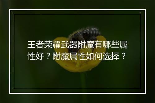 王者荣耀武器附魔有哪些属性好？附魔属性如何选择？