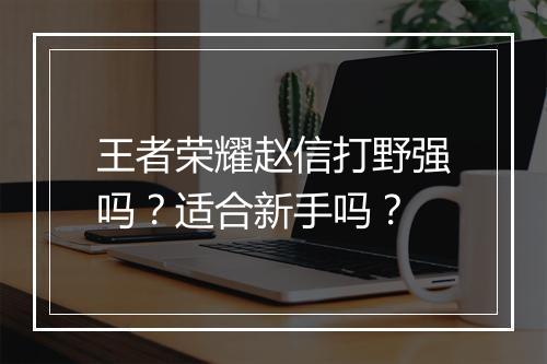 王者荣耀赵信打野强吗？适合新手吗？