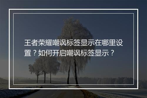王者荣耀嘲讽标签显示在哪里设置？如何开启嘲讽标签显示？