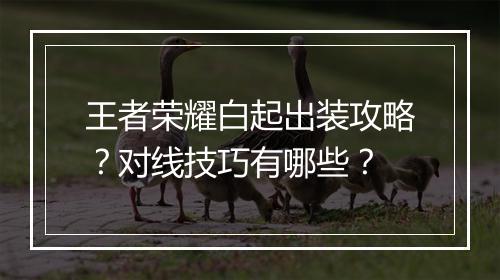 王者荣耀白起出装攻略？对线技巧有哪些？