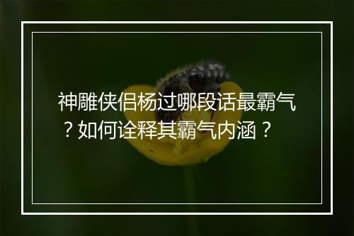 神雕侠侣杨过哪段话最霸气？如何诠释其霸气内涵？