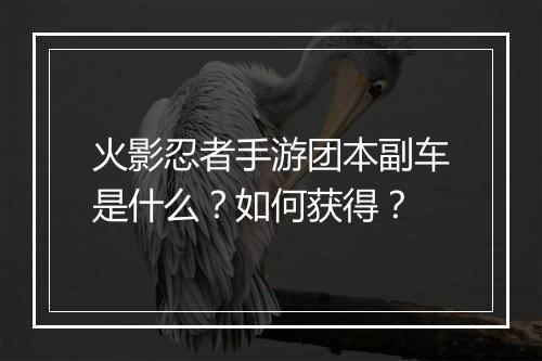 火影忍者手游团本副车是什么？如何获得？