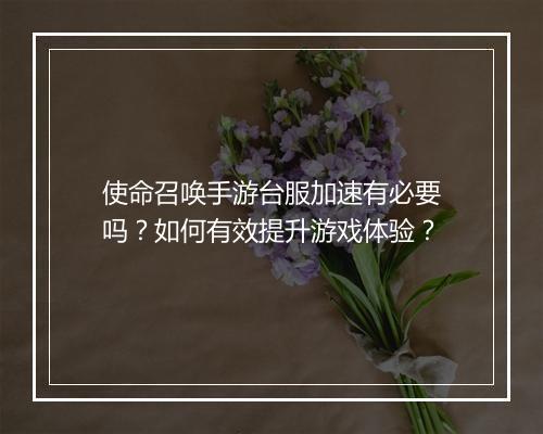 使命召唤手游台服加速有必要吗？如何有效提升游戏体验？