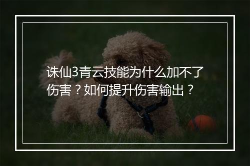 诛仙3青云技能为什么加不了伤害？如何提升伤害输出？