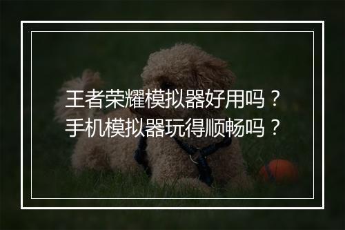 王者荣耀模拟器好用吗？手机模拟器玩得顺畅吗？