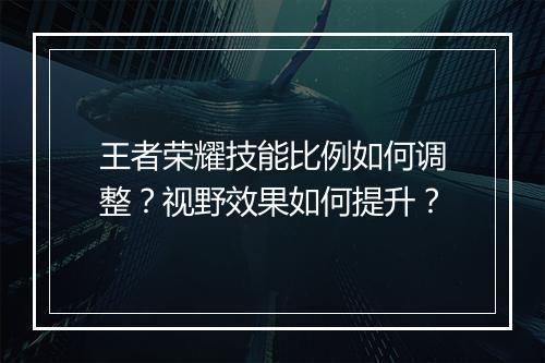 王者荣耀技能比例如何调整？视野效果如何提升？