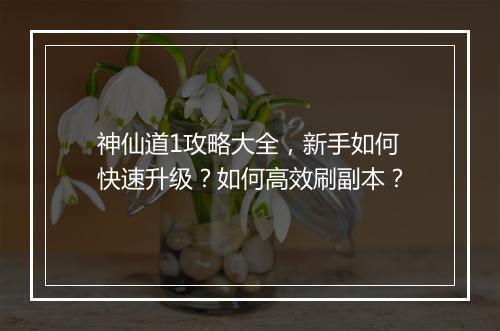 神仙道1攻略大全，新手如何快速升级？如何高效刷副本？