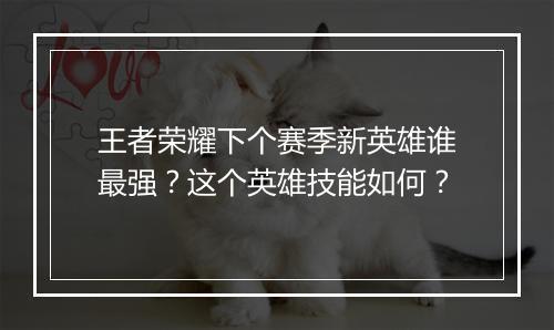 王者荣耀下个赛季新英雄谁最强?这个英雄技能如何?