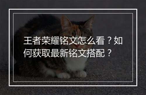 王者荣耀铭文怎么看？如何获取最新铭文搭配？
