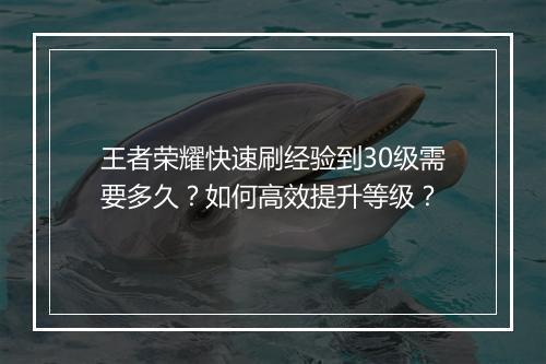 王者荣耀快速刷经验到30级需要多久？如何高效提升等级？
