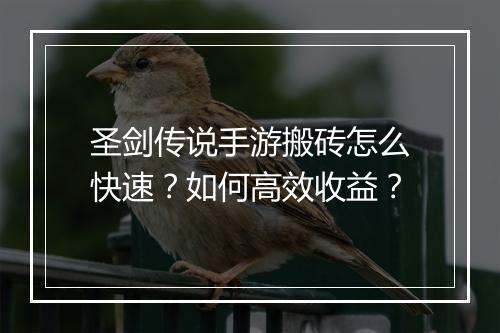 圣剑传说手游搬砖怎么快速？如何高效收益？