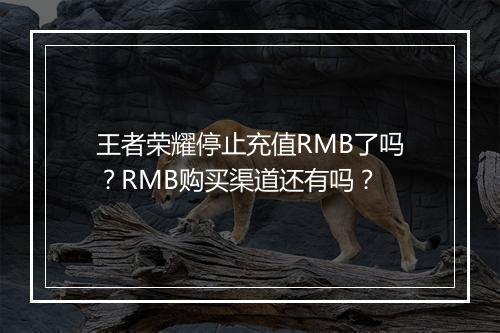 王者荣耀停止充值RMB了吗？RMB购买渠道还有吗？