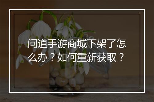 问道手游商城下架了怎么办？如何重新获取？