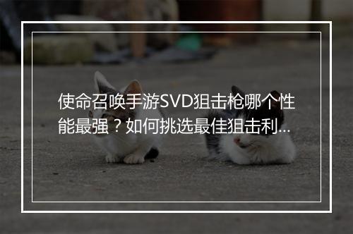 使命召唤手游SVD狙击枪哪个性能最强？如何挑选最佳狙击利器？
