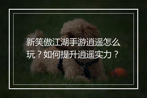 新笑傲江湖手游逍遥怎么玩？如何提升逍遥实力？