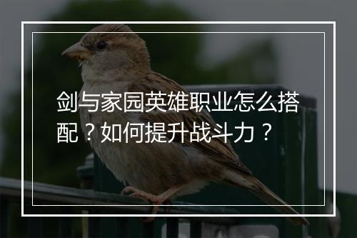 剑与家园英雄职业怎么搭配？如何提升战斗力？