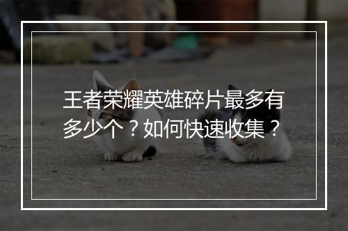 王者荣耀英雄碎片最多有多少个？如何快速收集？