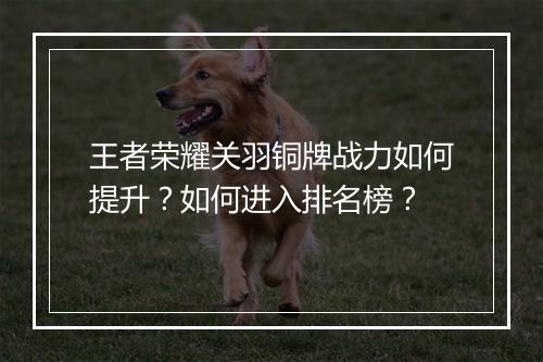王者荣耀关羽铜牌战力如何提升？如何进入排名榜？