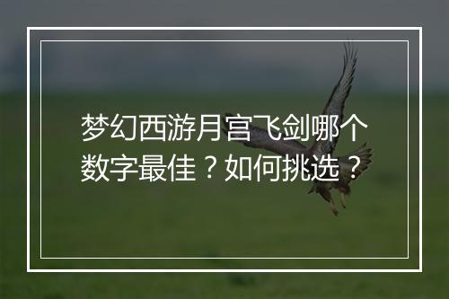 梦幻西游月宫飞剑哪个数字最佳？如何挑选？