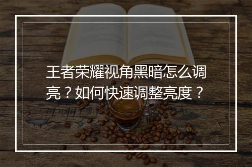 王者荣耀视角黑暗怎么调亮？如何快速调整亮度？
