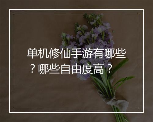 单机修仙手游有哪些？哪些自由度高？