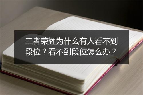 王者荣耀为什么有人看不到段位？看不到段位怎么办？
