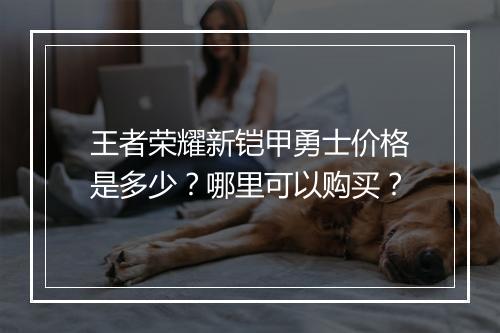王者荣耀新铠甲勇士价格是多少？哪里可以购买？