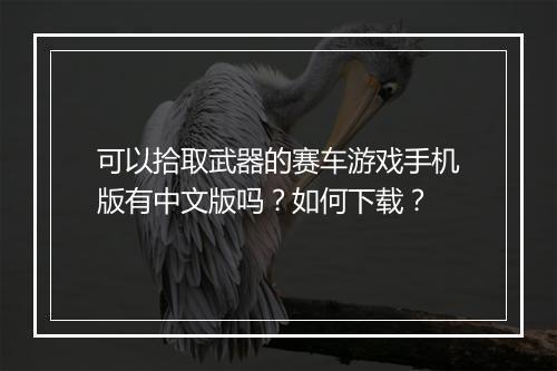 可以拾取武器的赛车游戏手机版有中文版吗？如何下载？