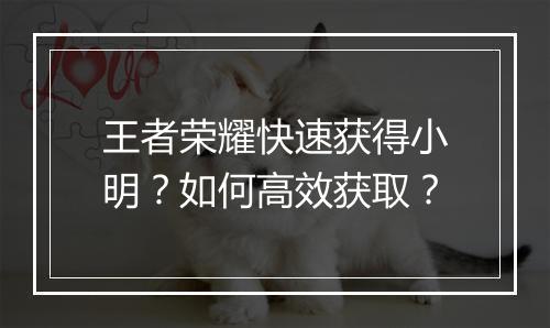 王者荣耀快速获得小明？如何高效获取？