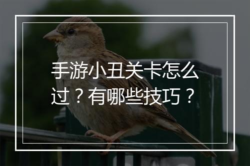 手游小丑关卡怎么过？有哪些技巧？