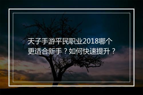 天子手游平民职业2018哪个更适合新手？如何快速提升？