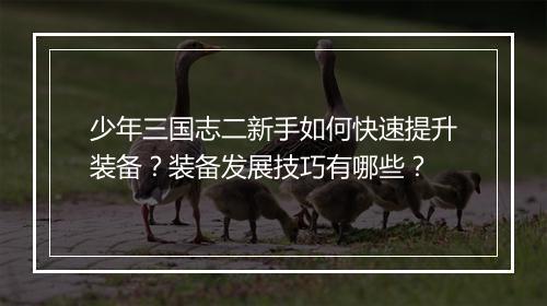 少年三国志二新手如何快速提升装备？装备发展技巧有哪些？