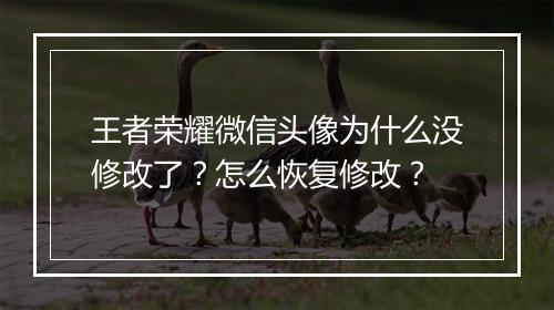 王者荣耀微信头像为什么没修改了？怎么恢复修改？