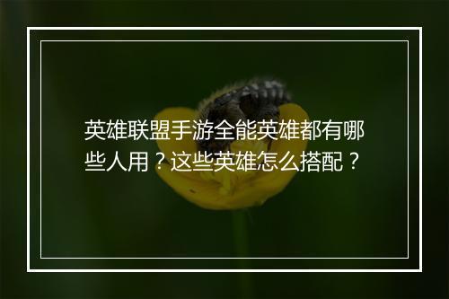 英雄联盟手游全能英雄都有哪些人用？这些英雄怎么搭配？
