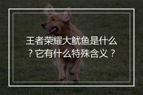 王者荣耀大鱿鱼是什么？它有什么特殊含义？