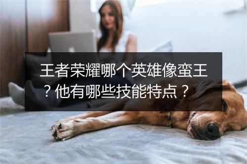 王者荣耀哪个英雄像蛮王？他有哪些技能特点？