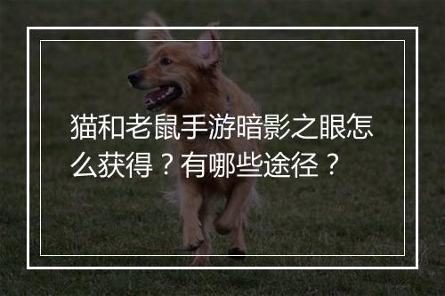 猫和老鼠手游暗影之眼怎么获得？有哪些途径？