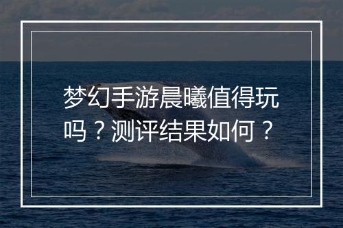 梦幻手游晨曦值得玩吗？测评结果如何？