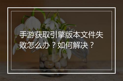 手游获取引擎版本文件失败怎么办？如何解决？