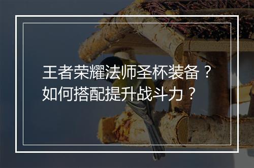 王者荣耀法师圣杯装备？如何搭配提升战斗力？