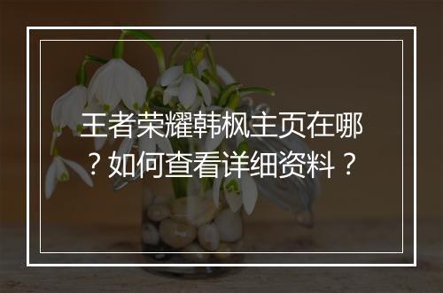 王者荣耀韩枫主页在哪？如何查看详细资料？