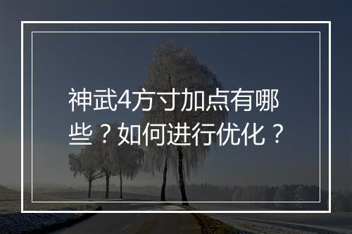 神武4方寸加点有哪些？如何进行优化？