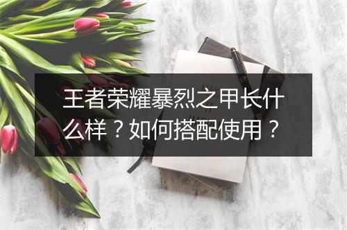 王者荣耀暴烈之甲长什么样？如何搭配使用？
