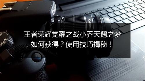 王者荣耀觉醒之战小乔天鹅之梦，如何获得？使用技巧揭秘！